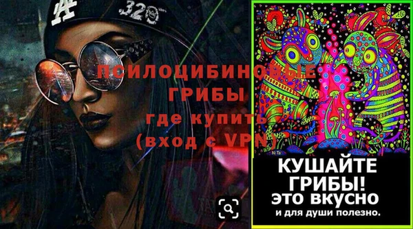 стафф Алексеевка