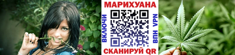 Бошки Шишки план  Гаджиево 